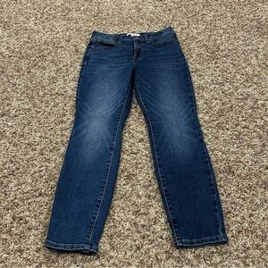 Lucky Brand Bridgette High Rise Skinny Jeans Size 6/28